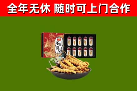 南阳市烟酒回收冬虫夏草礼盒.jpg